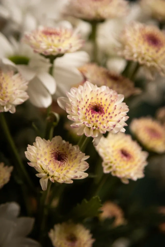 decoracion con flores